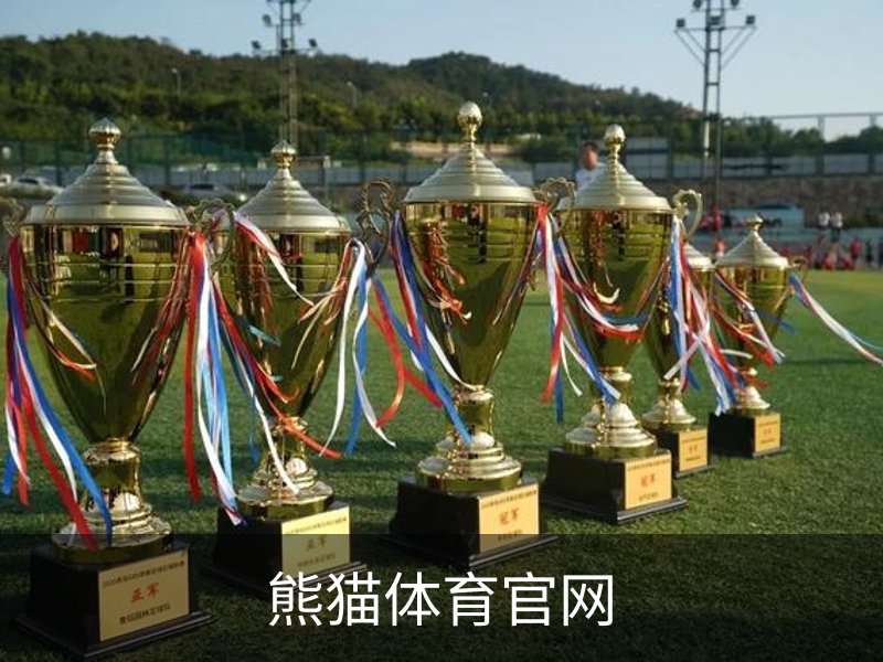 熊猫体育官网简介